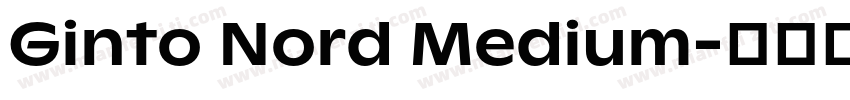 Ginto Nord Medium字体转换